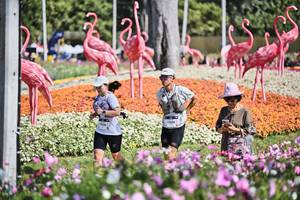 BIB: 
                            <button type="button" onclick="openModal(27793838)" class="btn btn-primary btn-sm float-right btn-popup" data-toggle="modal" data-target=".modal-high-quality">
                        <i class="fas fa-shopping-cart"></i> Add to Cart
                    </button>
                                            <button type="button" onclick="isThisMe(27793838, true)" class="btn btn-success btn-sm float-right btn-popup btn-isme hidden" data-toggle="tooltip" data-placement="bottom" title="นี่คือรูปของคุณใช่ไหม คลิกที่นี่เพื่อเอาเข้าอัลบั้ม">
                        <i class="fas fa-plus"></i> Add to album
                    </button>
                    <button type="button" onclick="isThisMe(27793838, false)" class="btn btn-warning btn-sm float-right btn-popup btn-isnotme hidden">
                        <i class="fas fa-ban"></i> Remove from album
                    </button>